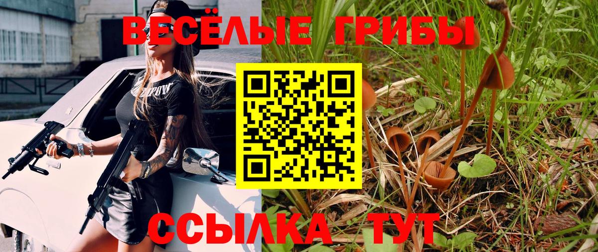 Псилоцибиновые грибы GOLDEN TEACHER Павлово