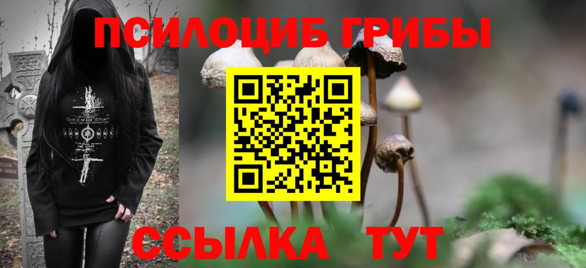 Павлово  Псилоцибиновые грибы ЛСД  где найти   Вход с VPN 